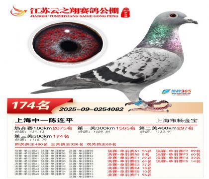 ���K��֮��Qِ174��