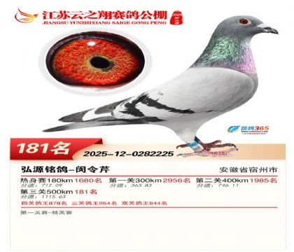 ���K��֮��Qِ181��