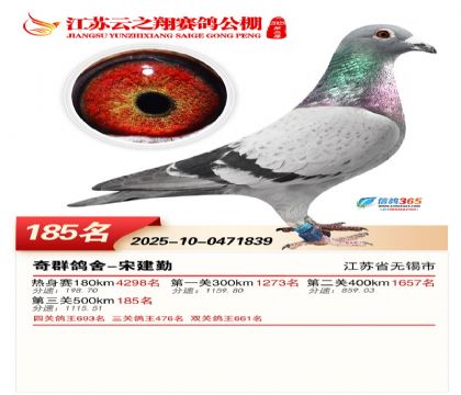 ���K��֮��Qِ185��