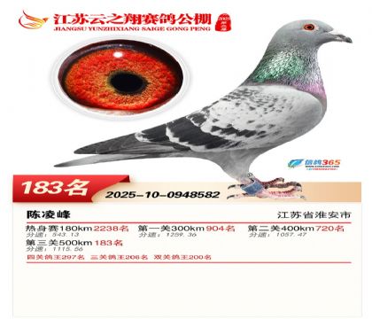 ���K��֮��Qِ183��