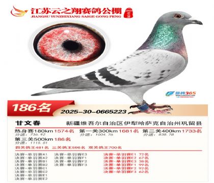 ���K��֮��Qِ186��