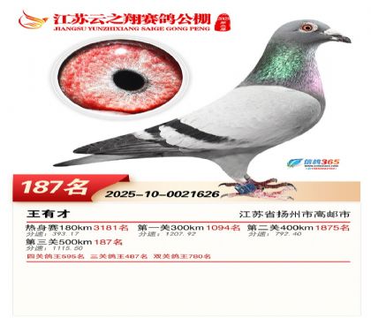 ���K��֮��Qِ187��