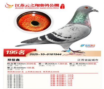 ���K��֮��Qِ195��