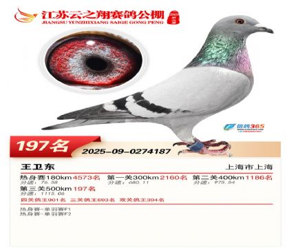 ���K��֮��Qِ197��