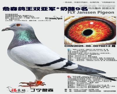 ղɭ�����p��܊/����9��