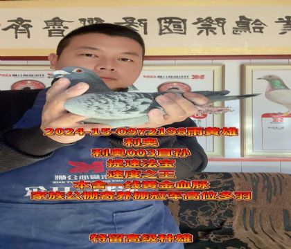 ���ٷ��������W003ֱ��x��OŮ�����N��