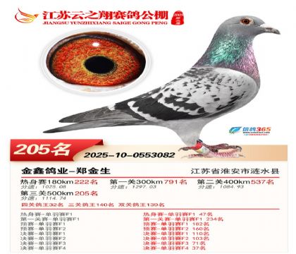 ���K��֮��Qِ205��