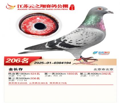 ���K��֮��Qِ206��