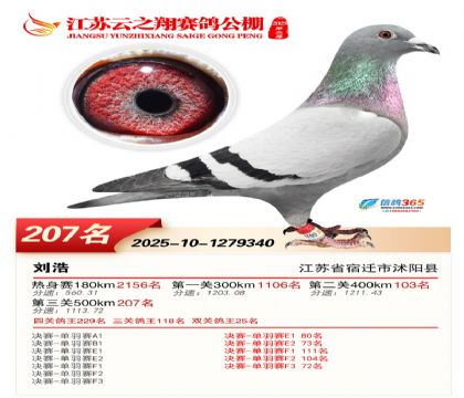 ���K��֮��Qِ207��