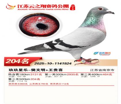 ���K��֮��Qِ204��