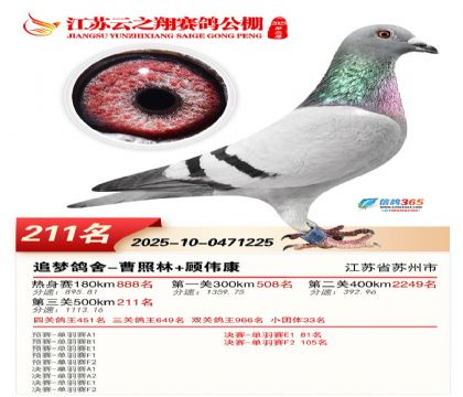 ���K��֮��Qِ211��