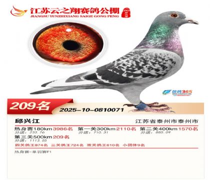 ���K��֮��Qِ209��