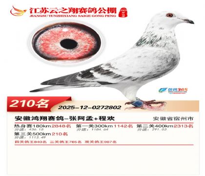 ���K��֮��Qِ210��