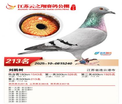 ���K��֮��Qِ213��