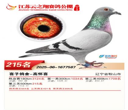 ���K��֮��Qِ215��