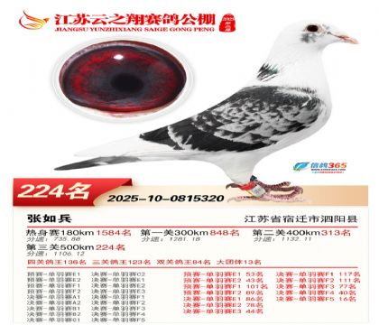 ���K��֮��Qِ224��