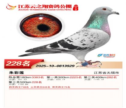 ���K��֮��Qِ228��