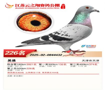 ���K��֮��Qِ226��