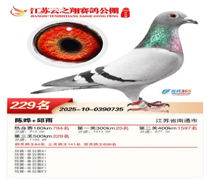 ���K��֮��Qِ229��