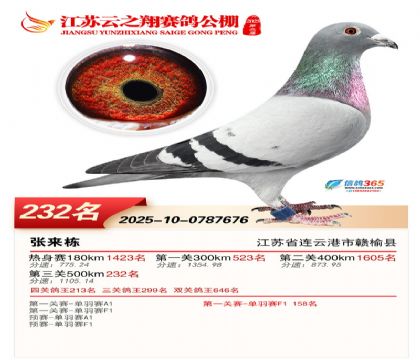 ���K��֮��Qِ232��