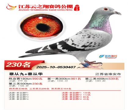 ���K��֮��Qِ230��