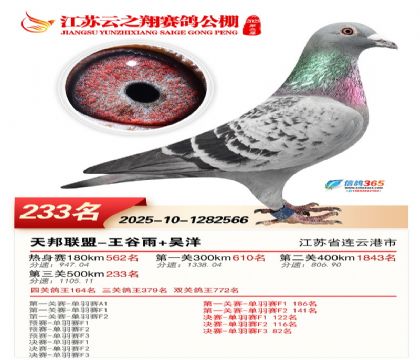 ���K��֮��Qِ233��