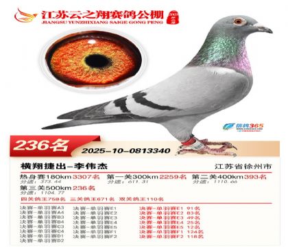 ���K��֮��Qِ236��