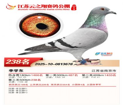 ���K��֮��Qِ238��