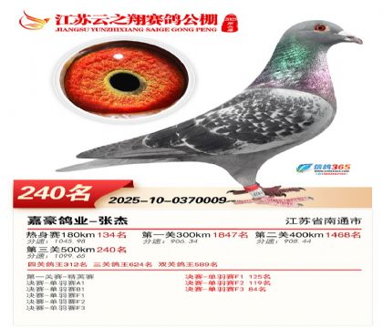 ���K��֮��Qِ240��