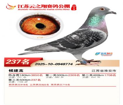 ���K��֮��Qِ237��