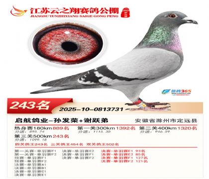 ���K��֮��Qِ243��