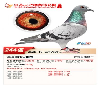 ���K��֮��Qِ244��