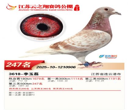 ���K��֮��Qِ247��