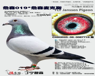 ղɭ019/ղɭ����˹