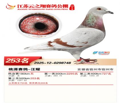 ���K��֮��Qِ253��