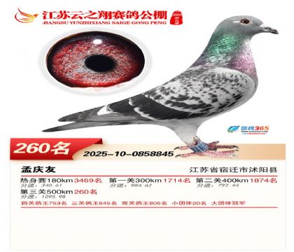 ���K��֮��Qِ260��