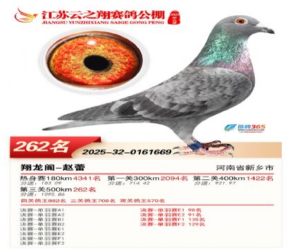 ���K��֮��Qِ262��