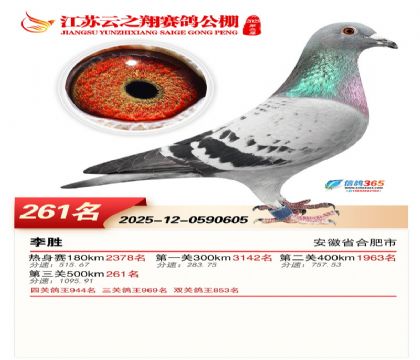 ���K��֮��Qِ261��