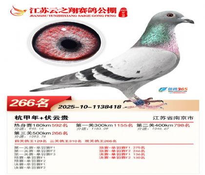 ���K��֮��Qِ266��