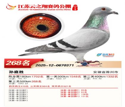 ���K��֮��Qِ268��