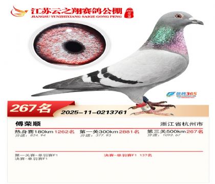 ���K��֮��Qِ267��