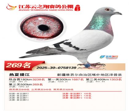 ���K��֮��Qِ269��