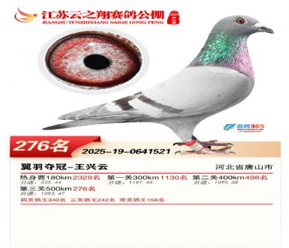 ���K��֮��Qِ276��