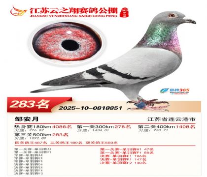 ���K��֮��Qِ283��