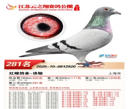 ���K��֮��Qِ281��