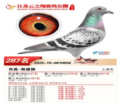 ���K��֮��Qِ287��