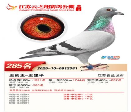 ���K��֮��Qِ285��