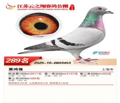 ���K��֮��Qِ289��