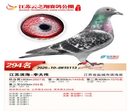 ���K��֮��Qِ294��