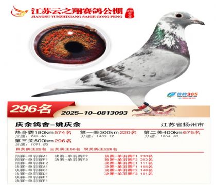 ���K��֮��Qِ296��